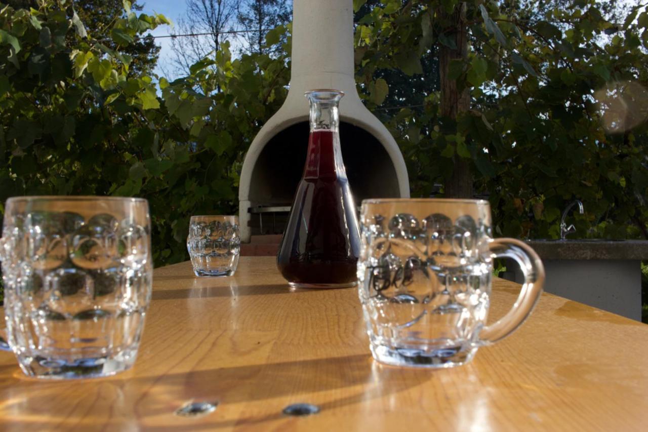 Hanzi Holiday Home Recica ob Savinji Esterno foto
